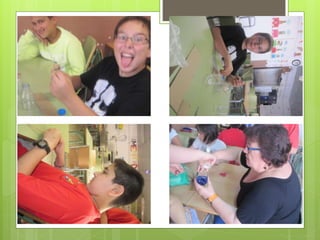 Projecte interdisciplinar