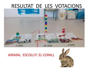 RESULTAT DE LES VOTACIONS
2 VOTS 5 VOTS18 VOTS
ANIMAL ESCOLLIT: EL CONILL
 