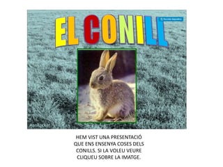 HEM VIST UNA PRESENTACIÓ
QUE ENS ENSENYA COSES DELS
CONILLS. SI LA VOLEU VEURE
CLIQUEU SOBRE LA IMATGE.
 