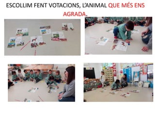 ESCOLLIM FENT VOTACIONS, L’ANIMAL QUE MÉS ENS
AGRADA.
 