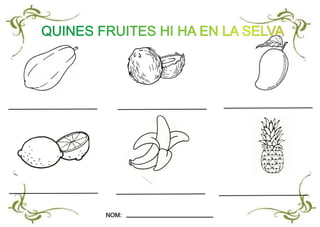 QUINES FRUITES HI HA EN LA SELVA
NOM:NOM:
 