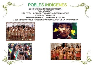 HI HA UNES 50 TRIBUS DIFERENTS.
SÓN NÒMADES.
UTILITZEN LA CANOA COM A MITJÀ DE TRANSPORT.
VIUEN EN CABANYES.
MENGEN ANIMALS O PEIXOS QUE CACEN
O ELS VEGETALS QUE PLANTEN O ARREPLEGUEN DE LA NATURALESA
HI HA UNES 50 TRIBUS DIFERENTS.
SÓN NÒMADES.
UTILITZEN LA CANOA COM A MITJÀ DE TRANSPORT.
VIUEN EN CABANYES.
MENGEN ANIMALS O PEIXOS QUE CACEN
O ELS VEGETALS QUE PLANTEN O ARREPLEGUEN DE LA NATURALESA
POBLES INDÍGENES
 