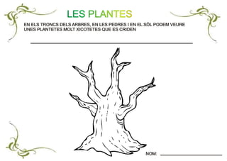 EN ELS TRONCS DELS ARBRES, EN LES PEDRES I EN EL SÒL PODEM VEURE
UNES PLANTETES MOLT XICOTETES QUE ES CRIDEN
EN ELS TRONCS DELS ARBRES, EN LES PEDRES I EN EL SÒL PODEM VEURE
UNES PLANTETES MOLT XICOTETES QUE ES CRIDEN
LES PLANTES
NOM:NOM:
 