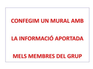 CONFEGIM UN MURAL AMB
LA INFORMACIÓ APORTADA
MELS MEMBRES DEL GRUP
 