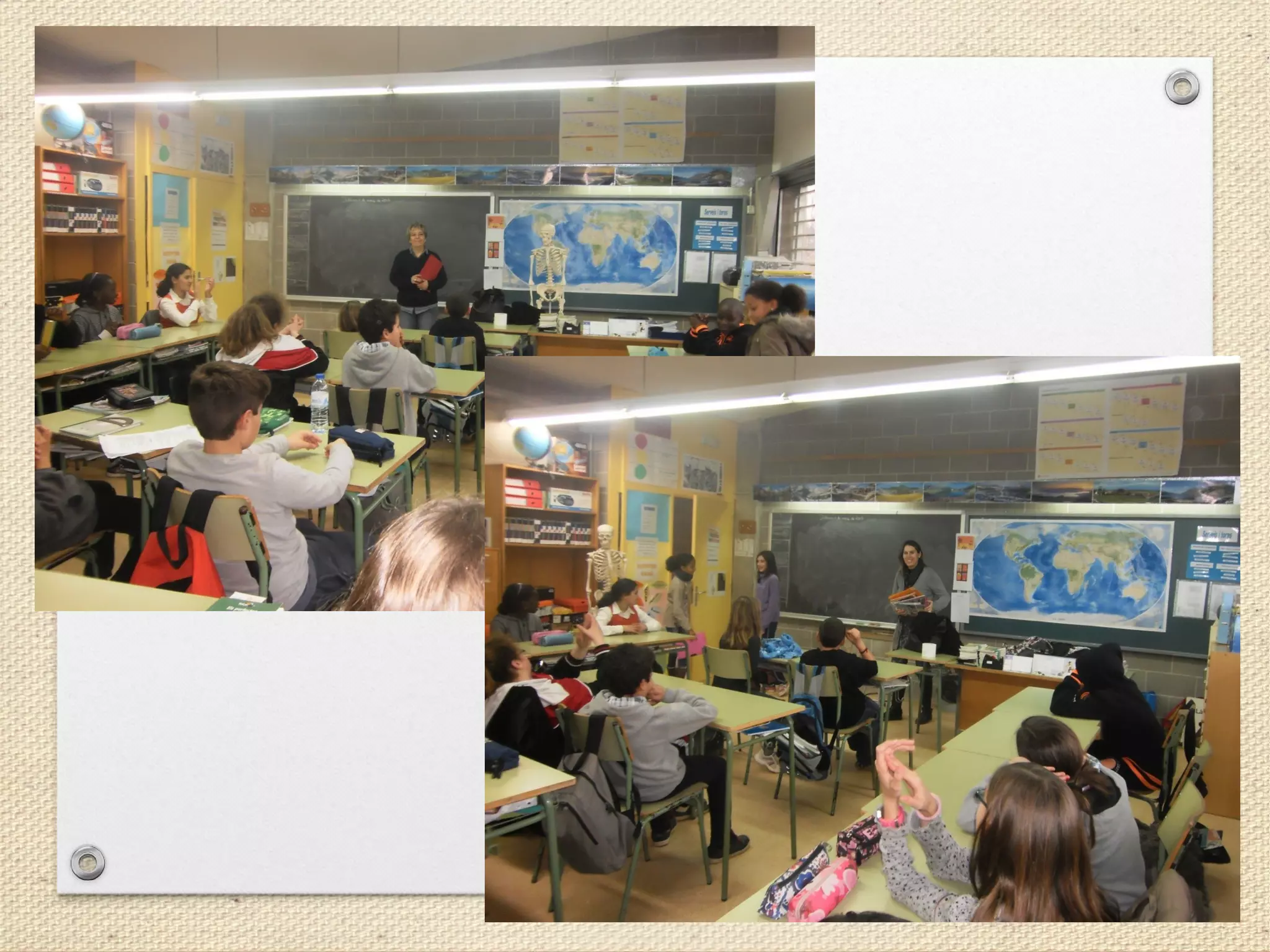 Projecte la vida en un llibre