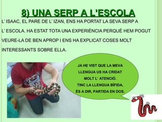 8) UNA SERP A L’ESCOLA
L’ ISAAC, EL PARE DE L’ IZAN, ENS HA PORTAT LA SEVA SERP A

L’ ESCOLA. HA ESTAT TOTA UNA EXPERIÈNCIA PERQUÈ HEM POGUT

VEURE-LA DE BEN APROP I ENS HA EXPLICAT COSES MOLT

INTERESSANTS SOBRE ELLA.


                                JA HE VIST QUE LA MEVA
                                LLENGUA US HA CRIDAT
                                   MOLT L’ ATENCIÓ.
                                TINC LA LLENGUA BÍFIDA,
                               ÉS A DIR, PARTIDA EN DOS.
 