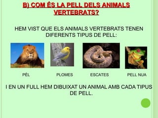 B) COM ÉS LA PELL DELS ANIMALS
              VERTEBRATS?

   HEM VIST QUE ELS ANIMALS VERTEBRATS TENEN
             DIFERENTS TIPUS DE PELL:




     PÈL         PLOMES     ESCATES      PELL NUA


I EN UN FULL HEM DIBUIXAT UN ANIMAL AMB CADA TIPUS
                       DE PELL.
 