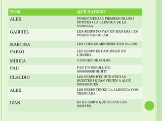 NOM       QUÈ SABEM?
ALEX      PODEN MENJAR PRESSES GRANS I
          PETITES I LA LLENGUA SE LA
          ENROLLA.

GABRIEL   LES SERPS NO VAN EN MANADA I ES
          PODEN CARGOLAR.


MARTINA   LES COBRES ARROSSEGUEN EL COS.

PABLO     LES SERPS ES CAMUFLEN EN
          L’HERBA.

MIREIA    CANVIEN DE COLOR

PAU       FAN UN SOROLL DE:
          SSSSSSSSHHHHT!!

CLAUDIO   LES SERPS D’EGIPTE S’ESTAN
          QUIETES I QUAN VEUEN A ALGÚ
          MOSSEGUEN.

ALEX      LES SERPS TENEN LA LLENGUA COM
          TRENCADA.


IZAN      HI HA SERPS QUE ES FAN LES
          MORTES.
 