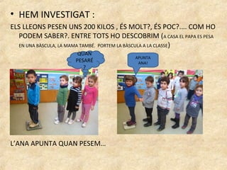 • HEM INVESTIGAT :
ELS LLEONS PESEN UNS 200 KILOS , ÉS MOLT?, ÉS POC?.... COM HO
  PODEM SABER?. ENTRE TOTS HO DESCOBRIM (A CASA EL PAPA ES PESA
  EN UNA BÀSCULA, LA MAMA TAMBÉ. PORTEM LA BÀSCULA A LA CLASSE)
                     QUAN
                                      APUNTA
                    PESARÉ             ANA!
                       ?




L’ANA APUNTA QUAN PESEM…
 