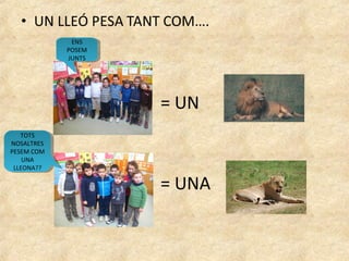 ENS
                ENS
             POSEM
              POSEM
             JUNTS
              JUNTS




   TOTS
    TOTS
NOSALTRES
 NOSALTRES
PESEM COM
 PESEM COM
    UNA
     UNA
 LLEONA??
  LLEONA??
 