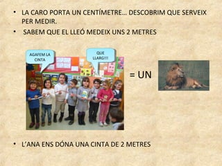 • LA CARO PORTA UN CENTÍMETRE… DESCOBRIM QUE SERVEIX
  PER MEDIR.
• SABEM QUE EL LLEÓ MEDEIX UNS 2 METRES

    AGAFEM LA          QUE
                        QUE
     AGAFEM LA
      CINTA          LLARG!!!
                      LLARG!!!
       CINTA


                 •               = UN




• L’ANA ENS DÓNA UNA CINTA DE 2 METRES
 