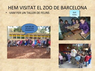 HEM VISITAT EL ZOO DE BARCELONA
• VAM FER UN TALLER DE FELINS    QUE
                                  QUE
                                SUAU
                                 SUAU




            QUE BÉ EN
            HO ESTEM
            PASSANT!!!
 