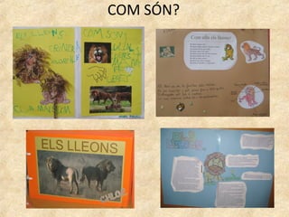 COM SÓN?
 