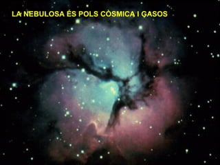 LA NEBULOSA ÉS POLS CÒSMICA I GASOS 