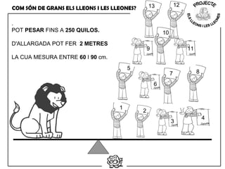 COM SÓN DE GRANS ELS LLEONS I LES LLEONES?
.
POT PESAR FINS A 250 QUILOS.
D'ALLARGADA POT FER 2 METRES
LA CUA MESURA ENTRE 60 I 90 cm.
1
2
3
4
5
6
7 8
9
10
11
1213
 