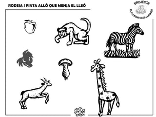 RODEJA I PINTA ALLÒ QUE MENJA EL LLEÓ
 