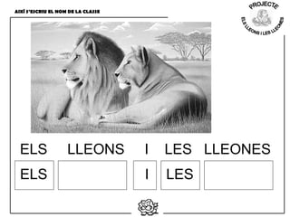 AIXÍ S’ESCRIU EL NOM DE LA CLASSE
ELS LLEONS I LES LLEONES
ELS LESI
 