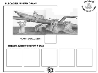 ELS CADELLS ES FAN GRANS
QUANTS CADELLS VEUS?
ENGANXA ELS LLEONS DE PETIT A GRAN
 