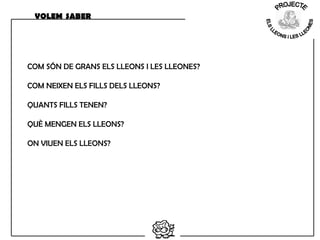 VOLEM SABER
COM SÓN DE GRANS ELS LLEONS I LES LLEONES?
COM NEIXEN ELS FILLS DELS LLEONS?
QUANTS FILLS TENEN?
QUÈ MENGEN ELS LLEONS?
ON VIUEN ELS LLEONS?
 