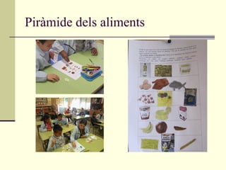Piràmide dels aliments
 