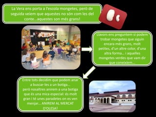 La Vera ens porta a l’escola mongetes, però de
seguida veiem que aquestes no són com les del
conte…aquestes son més grans!

Llavors ens preguntem si podem
trobar mongetes que siguin
encara més grans, molt
petites, d’un altre color, d’una
altra forma… i aquelles
mongetes verdes que vam dir
que coneixíem...

Entre tots decidim que podem anar
a buscar-les a un botiga...
però nosaltres anirem a una botiga
que és una mica especial: és molt
gran i té unes paradetes on es ven
menjar... ANIREM AL MERCAT
D’OLESA!

 