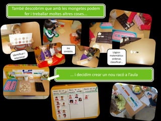 També descobrim que amb les mongetes podem
fer i treballar moltes altres coses...

Joc
simbòlic

Lògicomatemàtica:
ordenar,
classificar…

... i decidim crear un nou racó a l’aula

 