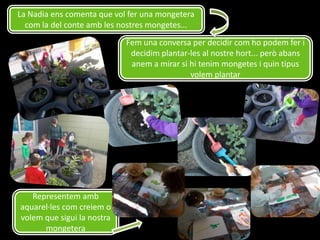 La Nadia ens comenta que vol fer una mongetera
com la del conte amb les nostres mongetes...
Fem una conversa per decidir com ho podem fer i
decidim plantar-les al nostre hort... però abans
anem a mirar si hi tenim mongetes i quin tipus
volem plantar

Representem amb
aquarel·les com creiem o
volem que sigui la nostra
mongetera

 