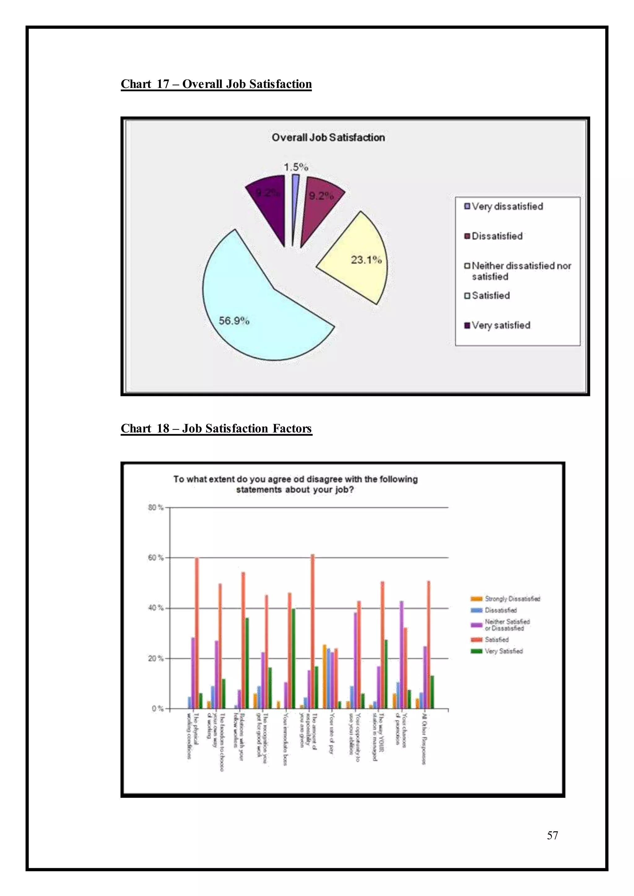 Chart 17 – Overall Job Satisfaction
Chart 18 – Job Satisfaction Factors
57
 