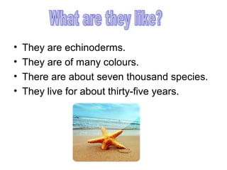 •
•
•
•

They are echinoderms.
They are of many colours.
There are about seven thousand species.
They live for about thirty-five years.

 