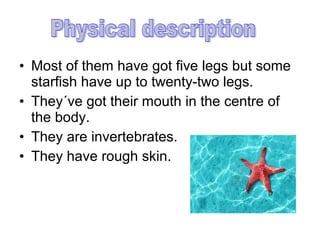 • Most of them have got five legs but some
starfish have up to twenty-two legs.
• They´ve got their mouth in the centre of...