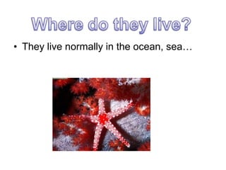 • They live normally in the ocean, sea…

 