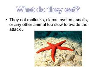 • They eat mollusks, clams, oysters, snails,
or any other animal too slow to evade the
attack .

 
