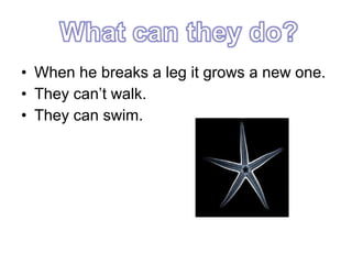 • When he breaks a leg it grows a new one.
• They can’t walk.
• They can swim.

 