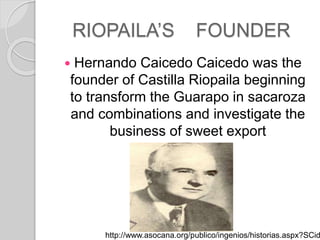 RIOPAILAS FOUNDER
? Hernando Caicedo Caicedo was the
founder of Castilla Riopaila beginning
to transform the Guarapo in sacaroza
and combinations and investigate the
business of sweet export
http://www.asocana.org/publico/ingenios/historias.aspx?SCid
 