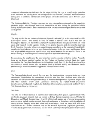 Anecdotal information has indicated that the bogue dividing the caye in two (2) major parts has 
some areas that are ‘resting holes’ or resting sites for the manatee (Sanchez). Another manatee 
resting area is said to lie a little north of the project site in the immediate lee of Brown’s Caye 
(Sanchez). 
The Bottlenose Dolphin (Tursiops truncatus) has been commonly seen throughout the area of the 
proposed project site although none were observed in the wild during the qualitative habitat 
survey by the consultants. Captive animals however, can be found in the pen at the North Island 
development. 
2-26 
Reptiles 
The only reptiles that are known to inhabit the Spanish Lookout Caye is the American Crocodile 
(Crocodylus acutus). This reptile is cited as CITES I species (1997 IUCN Red List of 
Endangered Species). In Belize the American Crocodile habitat is mangrove swamps on some 
cayes and brackish coastal lagoons, ponds, rivers, coastal lagoons, and also marshes near sea 
level. American Crocodile is known to share the same coastal area as the Morelet’s Crocodile (C. 
moreletti) which is known to occur more frequently in deep freshwater rivers and lagoons. Ross 
and Mayer (1993) suggest that hybridization may occur between the two species. There is no 
known nesting or burrowing areas for these reptiles on Spanish Lookout Caye. 
In considering the amphibians, the most important one to consider is the Sea turtles. Presently 
there are no known nesting beaches for Sea Turtles on Spanish Lookout Caye, the water 
surrounding the Caye have been known to be inhabited by all three (3) Sea Turtle species which 
are known to inhabit Belize, viz; the Green Turtle (Chelonia midas), the Hawksbill Turtle 
(Eretmochelys imbricate) and the Loggerhead Turtle (Caretta caretta). 
Fish 
The fish population in and around the caye were far less than those compared to the previous 
assessment. Nevertheless, in concordance with the base line data, finfishes were relatively 
abundant and ubiquitous throughout the range of habitats in the proposed expansion project area 
and these included White Grunt (Haemulon plumieri), the French Grunt (Haemulon 
flavolineatum), the Spanish Hogfish, the Ballyhoo (Hemiramphus brasiliensis), and the Yellow 
Tail Snapper (Ocyurus chrysurus). 
Sea Birds 
The total list of birds recorded in Belize is now approaching 600 species. Approximately 40% 
are North American migrants that are present in Belize during migration periods, October to 
December and March through May. Over 80 of the total species are of special conservation 
concern, these include nesting sea and shorebirds vulnerable to disturbance and degradation of 
quality wetland foraging areas both inland and on the cayes. There are some birds which are 
considered to be Yucatan Endemics such as the Yucatan Flycatcher (Myiarchus yucatensis, 
Yucatan Jay (Cyanocorax yucatanicus) and the Black Catbird (Melanoptila glairostris) which is 
 