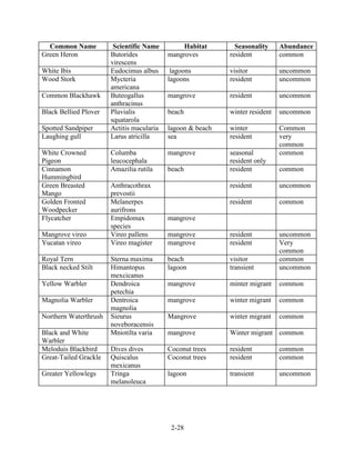 Common Name Scientific Name Habitat Seasonality Abundance 
2-28 
Green Heron Butorides 
virescens 
mangroves resident common 
White Ibis Eudocimus albus lagoons visitor uncommon 
Wood Stork Mycteria 
americana 
lagoons resident uncommon 
Common Blackhawk Buteogallus 
anthracinus 
mangrove resident uncommon 
Black Bellied Plover Pluvialis 
squatarola 
beach winter resident uncommon 
Spotted Sandpiper Actitis macularia lagoon & beach winter Common 
Laughing gull Larus atricilla sea resident very 
common 
White Crowned 
Pigeon 
Columba 
leucocephala 
mangrove seasonal 
resident only 
common 
Cinnamon 
Hummingbird 
Amazilia rutila beach resident common 
Green Breasted 
Mango 
Anthracothrax 
prevostii 
resident uncommon 
Golden Fronted 
Woodpecker 
Melanerpes 
aurifrons 
resident common 
Flycatcher Empidomax 
species 
mangrove 
Mangrove vireo Vireo pallens mangrove resident uncommon 
Yucatan vireo Vireo magister mangrove resident Very 
common 
Royal Tern Sterna maxima beach visitor common 
Black necked Stilt Himantopus 
mexcicanus 
lagoon transient uncommon 
Yellow Warbler Dendroica 
petechia 
mangrove minter migrant common 
Magnolia Warbler Dentroica 
magnolia 
mangrove winter migrant common 
Northern Waterthrush Sieurus 
noveboracensis 
Mangrove winter migrant common 
Black and White 
Warbler 
Mniotilta varia mangrove Winter migrant common 
Meloduis Blackbird Dives dives Coconut trees resident common 
Great-Tailed Grackle Quiscalus 
mexicanus 
Coconut trees resident common 
Greater Yellowlegs Tringa 
melanoleuca 
lagoon transient uncommon 
 