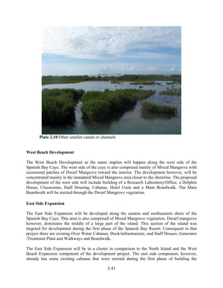 Plate 2.10 Other smaller canals or channels 
2-41 
West Beach Development 
The West Beach Development as the name implies will happen along the west side of the 
Spanish Bay Caye. The west side of the caye is also comprised mainly of Mixed Mangrove with 
occasional patches of Dwarf Mangrove toward the interior. The development however, will be 
concentrated mainly in the inundated Mixed Mangrove area closer to the shoreline. The proposed 
development of the west side will include building of a Research Laboratory/Office, a Dolphin 
House, Classrooms, Staff Housing, Cabanas, Hotel Units and a Main Boardwalk. The Main 
Boardwalk will be erected through the Dwarf Mangrove vegetation. 
East Side Expansion 
The East Side Expansion will be developed along the eastern and northeastern shore of the 
Spanish Bay Caye. This area is also comprised of Mixed Mangrove vegetation. Dwarf mangrove 
however, dominates the middle of a large part of the island. This section of the island was 
targeted for development during the first phase of the Spanish Bay Resort. Consequent to that 
project there are existing Over Water Cabanas, Dock/infrastructure, and Staff Houses, Generator 
/Treatment Plant and Walkways and Boardwalk. 
The East Side Expansion will be in a cluster in comparison to the North Island and the West 
Beach Expansion component of the development project. The east side component, however, 
already has some existing cabanas that were erected during the first phase of building the 
 