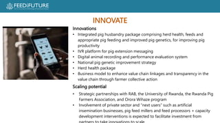 Profiting from pigs in Rwanda:  Improving people’s lives and livelihoods through more productive pig farming