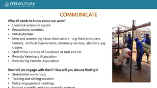 Profiting from pigs in Rwanda:  Improving people’s lives and livelihoods through more productive pig farming