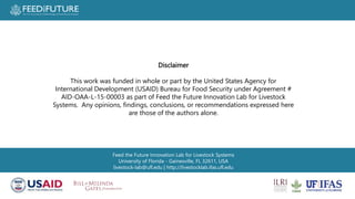 Profiting from pigs in Rwanda:  Improving people’s lives and livelihoods through more productive pig farming