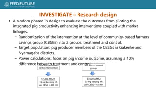 Profiting from pigs in Rwanda:  Improving people’s lives and livelihoods through more productive pig farming