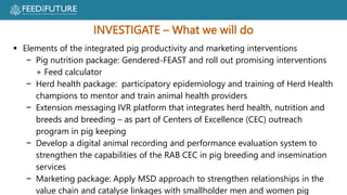 Profiting from pigs in Rwanda:  Improving people’s lives and livelihoods through more productive pig farming