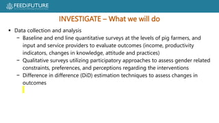 Profiting from pigs in Rwanda:  Improving people’s lives and livelihoods through more productive pig farming