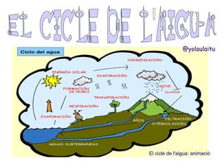 @yolaulaitu

El cicle de l'aigua: animació

 
