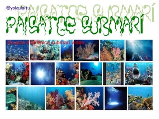 @yolaulaitu

Erupció d'un volcà submarí vídeo

 