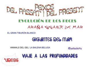 EVOLUCIÓN DE LOS PECES

ARAÑA GIGANT DE MAR
E
EL GRAN TIBURÓN BLANCO

GIGANTES DEL MAR
ANIMALS DEL GEL: LA BALENA BELUGA

VIDEOS

@yolaulaitu

VIAJE A LAS PROFUNDIDADES

 