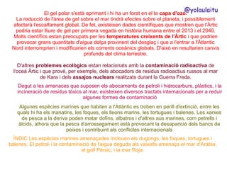 @yolaulaitu

El gel polar s'està aprimant i hi ha un forat en el la capa d'ozó.
La reducció de l'àrea de gel sobre el mar tindrà efectes sobre el planeta, i possiblement
afectarà l'escalfament global. De fet, existeixen dades científiques que mostren que l'Àrtic
podria estar lliure de gel per primera vegada en història humana entre el 2013 i el 2040.
Molts científics estan preocupats per les temperatures creixents de l'Àrtic i que podrien
provocar grans quantitats d'aigua dolça provinent del desglaç i que a l'entrar a l'Àtlantic
Nord interromprien i modificarien els corrents oceànics globals. D'això en resultarien canvis
profunds del clima terrestre.
D'altres problemes ecològics estan relacionats amb la contaminació radioactiva de
l'oceà Àrtic i que prové, per exemple, dels abocadors de residus radioactius russos al mar
de Kara i dels assajos nuclears realitzats durant la Guerra Freda.
Degut a les amenaces que suposen els abocaments de petroli i hidrocarburs, plàstics, i la
incineració de residus tòxics al mar, existeixen diversos tractats internacionals per a reduir
algunes formes de contaminació
Algunes espècies marines que habiten a l'Atlàntic es troben en perill d'extinció, entre les
quals hi ha els manatins, les foques, els lleons marins, les tortugues i balenes. Les xarxes
de pesca a la deriva poden matar dofins, albatros i d'altres aus marines, com petrells i
àlcids, alhora que la pesca d'arrossegament està provocant la desaparició dels bancs de
peixos i contribuint als conflictes internacionals
ÍNDIC Les espècies marines amenaçades inclouen els dugongs, les foques, tortugues i
balenes. El petroli i la contaminació de l'aigua deguda als vaixells amenaça el mar d'Aràbia,
el golf Pèrsic, i la mar Roja.

 