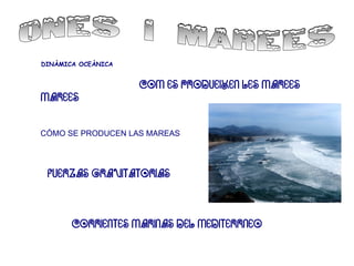 DINÀMICA OCEÀNICA

MAREES

COM ES PRODUEIXEN LES MAREES

CÓMO SE PRODUCEN LAS MAREAS

FUERZAS GRAVITATORIAS

CORRIENTES MARINAS DEL MEDITERRÁNEO

 