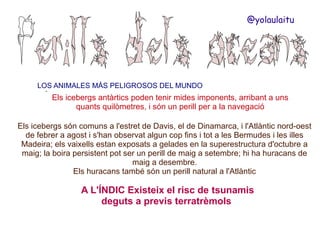 @yolaulaitu

LOS ANIMALES MÁS PELIGROSOS DEL MUNDO
.

Els icebergs antàrtics poden tenir mides imponents, arribant a uns
quants quilòmetres, i són un perill per a la navegació

Els icebergs són comuns a l'estret de Davis, el de Dinamarca, i l'Atlàntic nord-oest
de febrer a agost i s'han observat algun cop fins i tot a les Bermudes i les illes
Madeira; els vaixells estan exposats a gelades en la superestructura d'octubre a
maig; la boira persistent pot ser un perill de maig a setembre; hi ha huracans de
maig a desembre.
Els huracans també són un perill natural a l'Atlàntic

A L'ÍNDIC Existeix el risc de tsunamis
deguts a previs terratrèmols

 