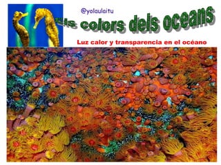 @yolaulaitu

Luz calor y transparencia en el océano

 